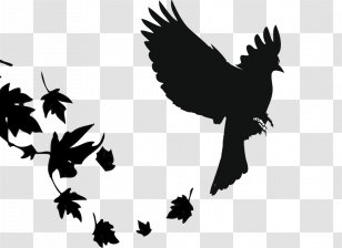 Red-winged Blackbird Common Beak - Monochrome Photography - Bird Transparent PNG