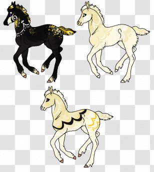 Mustang Foal Stallion Pony Colt Transparent PNG