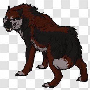 Cat Mammal Dog Animal Carnivora - Bear - Sincere Transparent PNG