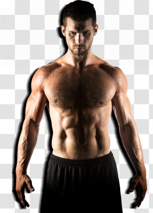 Exercise Physical Fitness Ashtanga Vinyasa Yoga Bodybuilding - Silhouette Transparent PNG