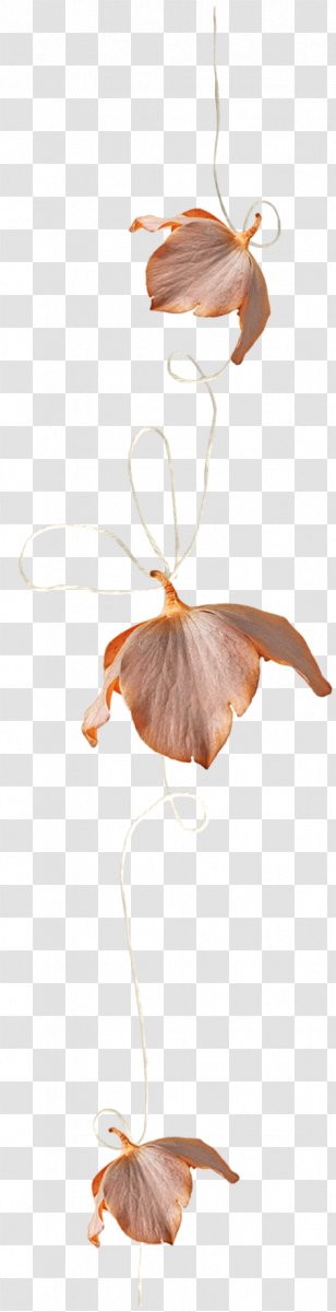 Rope Petal Download - Beak - Petals Transparent PNG