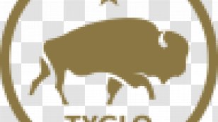 Texas General Land Office History Of Map State Historical Association - Logo - George Bush Transparent PNG