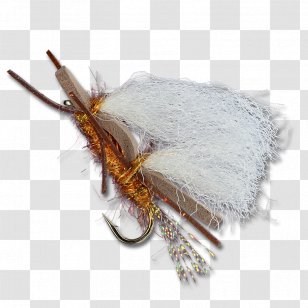 Insect - Membrane Winged - 2 Gold Peacock Feathers Transparent PNG