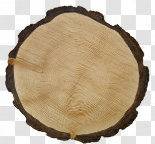 Paver Texture Mapping Tile Sett Tree - Digital Image Transparent PNG