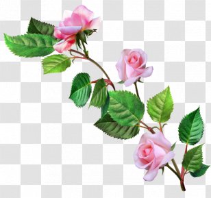 Birthday Flower Clip Art - Artificial Transparent PNG