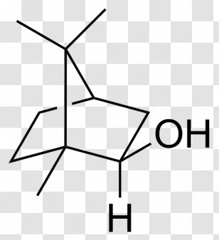 2-Methylisoborneol Monoterpene 2-Heptanone Camphor - Symmetry - Borneo Transparent PNG
