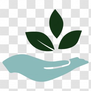 Natural Environment Growing Soybeans Business Service - Green Transparent PNG