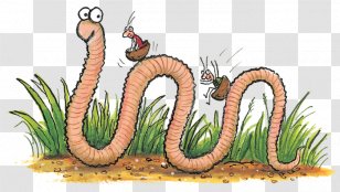 Superworm Insect Foundation Stage Clip Art - Fauna Transparent PNG