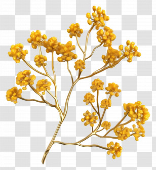 Golden Wattle - Yellow Flowers In Bloom Transparent PNG