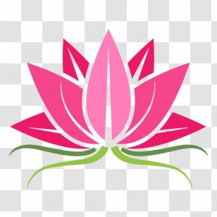 Sacred Lotus Floral Design - Minimalism - Artwork Transparent PNG