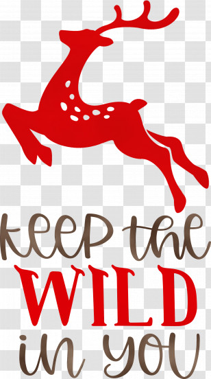 Christmas Decoration Transparent PNG
