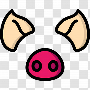 Pig Nose - Cartoon Pig Face Transparent PNG