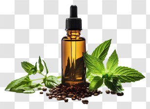 Essential Oil - Essential Oil Bottle With Mint Leaves Transparent PNG