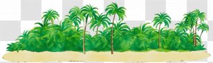 Palm Tree Background - Plant Stem Grass Transparent PNG