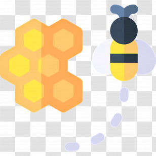 Honey Bee - Cute Bee And Honeycomb Design Transparent PNG
