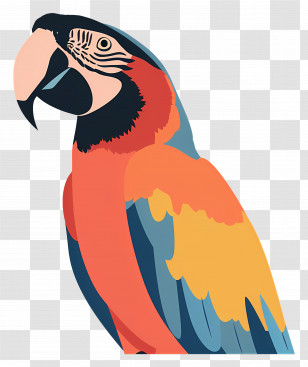 Macaw - Colorful Parrot In Tropical Style Transparent PNG