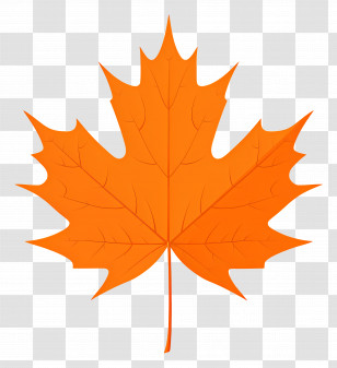 Autumn Maple Leaf - Bright Orange Maple Leaf Design Transparent PNG