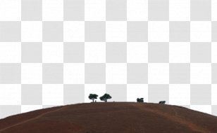 Download Icon - Adobe Systems - The Small Trees On Hillside Transparent PNG