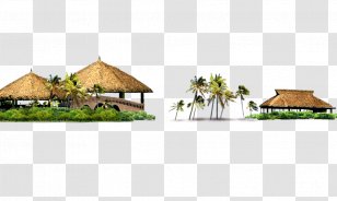 House - Grass - Island Building Transparent PNG