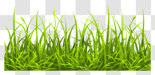Spring Grass Border - Bright Green Grass Patch Illustration Transparent PNG