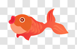 Goldfish - Cartoon Goldfish With Cute Expression Transparent PNG