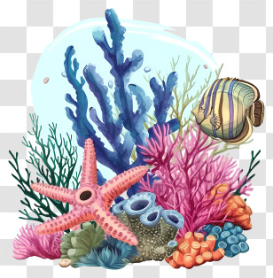 Vector Draw Design - Coral Reef With Starfish And Undersea Life Transparent PNG