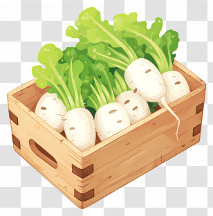 White Radish - White Radishes In Wooden Crate Transparent PNG