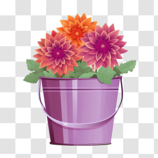 Dahlia
 - Purple Bucket With Vibrant Flowers Transparent PNG