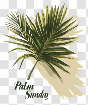 Palm Sunday - Palm Leaf For Palm Sunday Illustration Transparent PNG