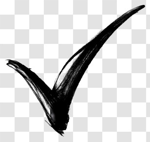 Black Check Mark - Black Check Mark Symbol Transparent PNG