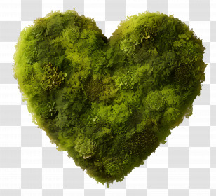 Flower Silhouette - Heart Shape Made Of Lush Green Moss Transparent PNG