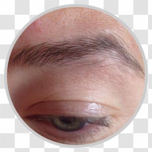 Eyelash Extensions Eyebrow Eye Shadow Forehead Cheek - Nose Transparent PNG