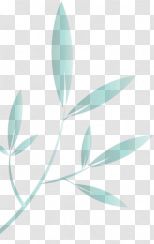 Lakewood Ranch, Florida Homeowner Association Petal Board Of Directors Leaf - Budget - Text Transparent PNG