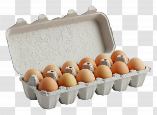 Carton Of Eggs - Carton Of Fresh Eggs Transparent PNG