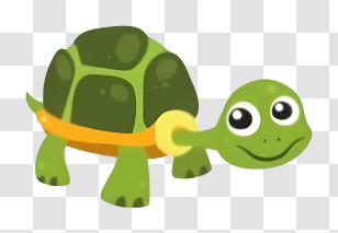Icon - Cute Turtle With Shell Transparent PNG