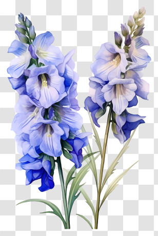 Flat Delphinium Flower - Watercolor Illustration Of Purple Gladiolus Flowers Transparent PNG
