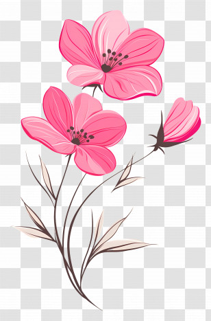 Pink Flower Corner - Delicate Pink Flower With Stems Illustration Transparent PNG