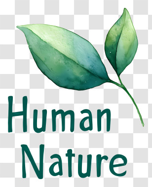 Human Nature Logo - Human Nature Leaf Logo Transparent PNG