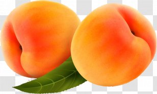 Apricot Peach Computer File - Fruit - Peaches Transparent PNG