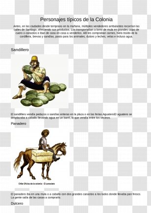 Baker Colonial Venezuela Bread Horse Craft - Text - Watermelon Transparent PNG