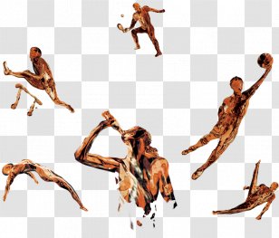 Coca-Cola Soft Drink Carbonated - Jumping - Players Silhouette Transparent PNG