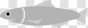 Fish Japanese Anchovy Food Clip Art Transparent PNG