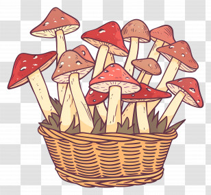 Mushroom Basket - Basket Of Colorful Mushrooms Illustration Transparent PNG