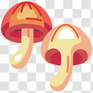 Mushroom - Cute Cartoon Mushrooms Illustration Transparent PNG