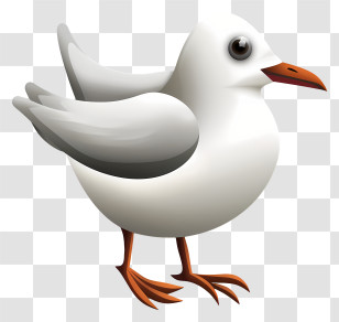 Icon - Cute Seagull Illustration Transparent PNG