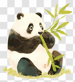 Cute Panda - Panda Eating Bamboo Illustration Transparent PNG