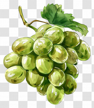 Green Grapes - Watercolor Painting Of Fresh Green Grapes Transparent PNG