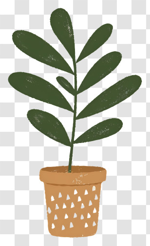 Cartoon - Potted Plant With Green Leaves Transparent PNG