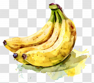 Bananas - Watercolor Illustration Of Yellow Bananas Transparent PNG