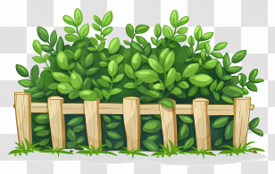 Garden Hedge - Green Shrubs And Wooden Fence Illustration Transparent PNG